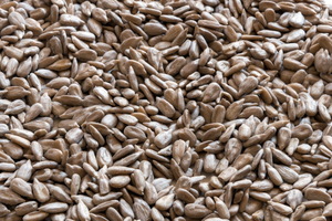 Sunflower Kernels "Confectionery"